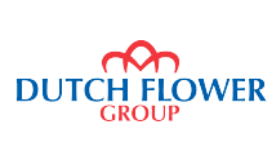 dutch-flower-group